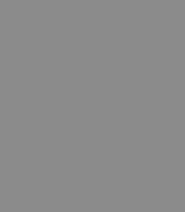 Rectangle 1979 (1)